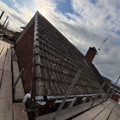 Gallery april 23 image 22